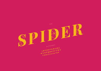 Vector of stylized modern font and alphabet