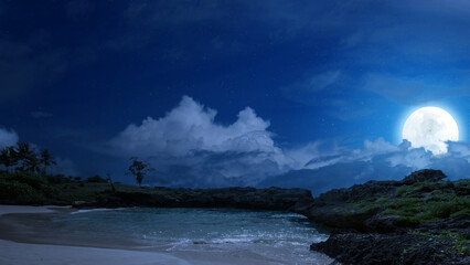 Sandy Beach with rocks with sea waves and a full moon