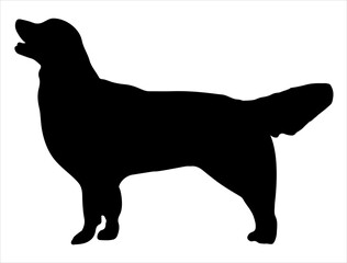 Golden retriever dog silhouette vector art white background