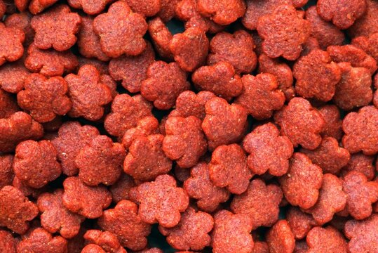 Close up a top veiw of a red dry pet food for dog and cat, pet food concepts.