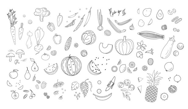 Set with sketch of fruits and vegetables in hand drawn style like ink drawing. 