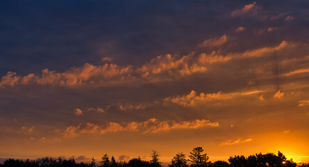 Stunning sunset with an array of clouds and trees - Powered by Adobe