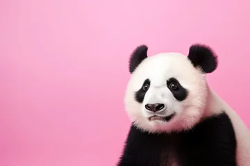 Foto op Plexiglas Close up portrait of panda with sad looking face  © rushay