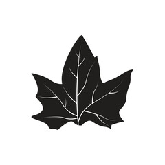 autumn leaf logo icon