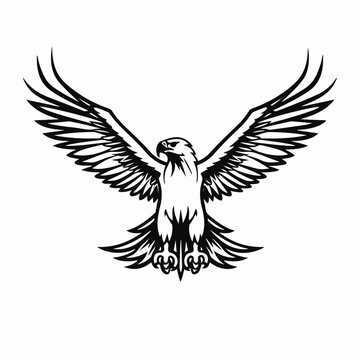 line art of eagle, vector logo