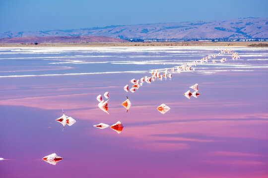 Scenic view of vibrant pink and red salt ponds at Alviso Marina County Park, California