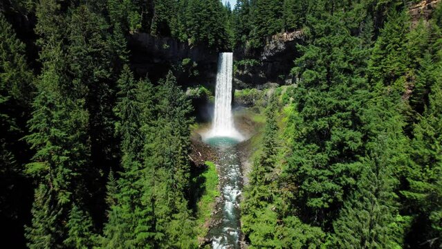 Waterfall in Green Forest Trees Shot by Drone