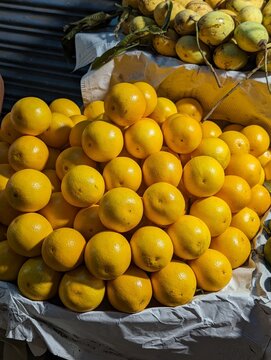 Fruits Maltas in wicker basket. Organic orange like malta fruits at street Market