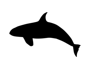 Killer shark silhouette vector art white background