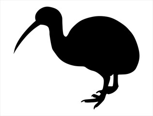 Kiwi silhouette vector art white background