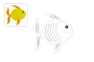 fish line drawing tracing