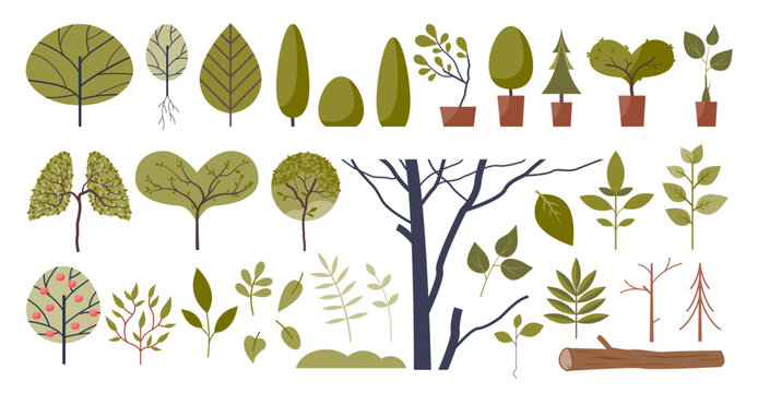 Decorative trees forms and green stylish plants elements in collection set. Isolated tree, bushes and leaves items with summer vegetation flora objects vector illustration. Garden and forest assets.