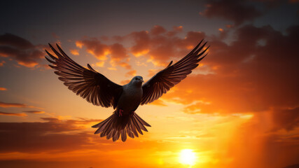 Pigeon spreads its wings against a cloudy sunset sky.