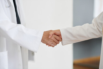 Closeup image of doctors shaking hands greeting each other before meeting