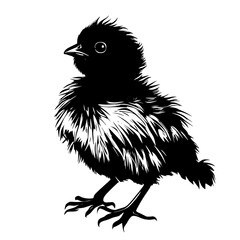 Chick, baby bird vector © Crimz0n