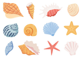 Sea shells, mollusks, stars. Beautiful colored shells of different shapes. Vector illustration