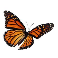 Monarch butterfly isolated on white background. PNG File - 650081474
