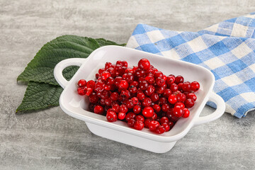 Ripe sweet wild organic cowberry