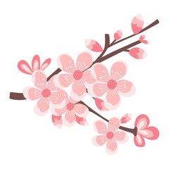 Cherry blossom Illustration 