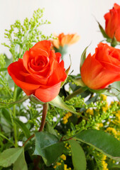 Fiore di rose arancioni isolato su sfondo bianco. Biglietto d'auguri floreale piatto perfetto per screensaver, tele, sfondi, festa della mamma, festa della donna, San Valentino o compleanno.