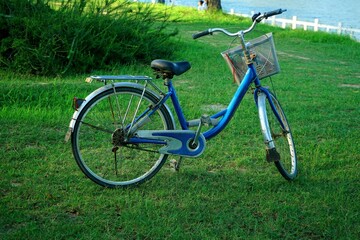 Blue bicycles on the park grass