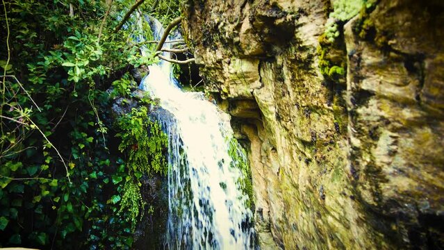 very beautiful waterfall with sunlight passing through the tree leaves in algeria