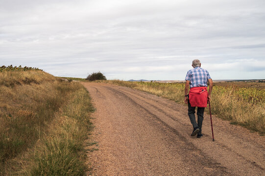 Vista de un anciano con garrota paseando por un camino.