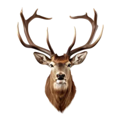 Rolgordijnen Wall mounted, taxidermy, stuffed deer head isolated on transparent background © Mrt