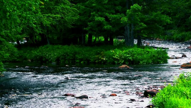 A river bends around an outcropping of green tree-lined river bank