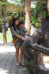 Fototapeta premium family and elephant At the Thai Elephant Conservation Center, Lampang Province