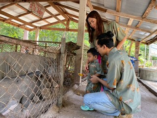 Family and wild boar at Thoen, Lampang
