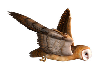 3D Rendering Fantasy Owl on White