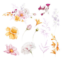 Set of wild flowers on a white background in watercolor style - 650116872