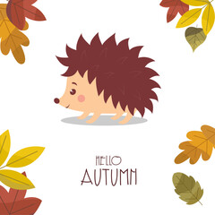Autumn cute animal. Background with autumn leaves and porcupine. Frame design with cute hedgehog and autumn leaves, nuts, and berries. Vector illustration.