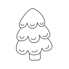 Vector illustration of spruce. In doodle style