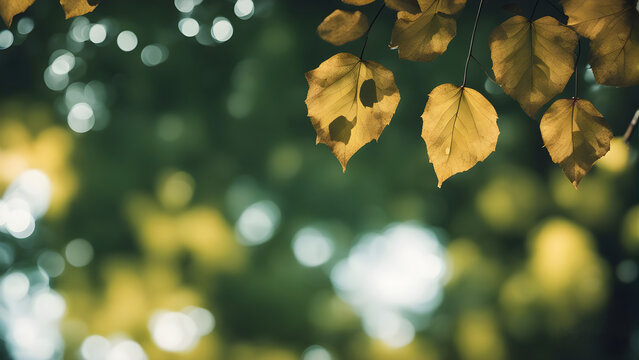 autumn leaves background with bokeh effect