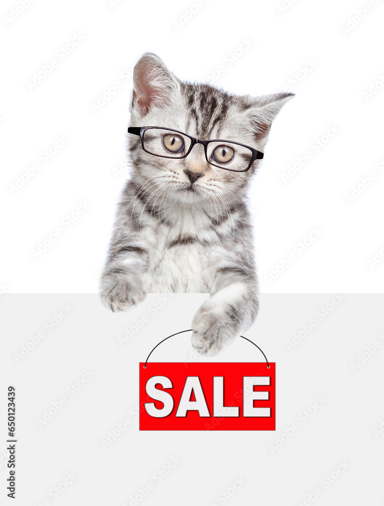 Poster smart tabby cat wearing eyeglasses holds signboard with labeled 