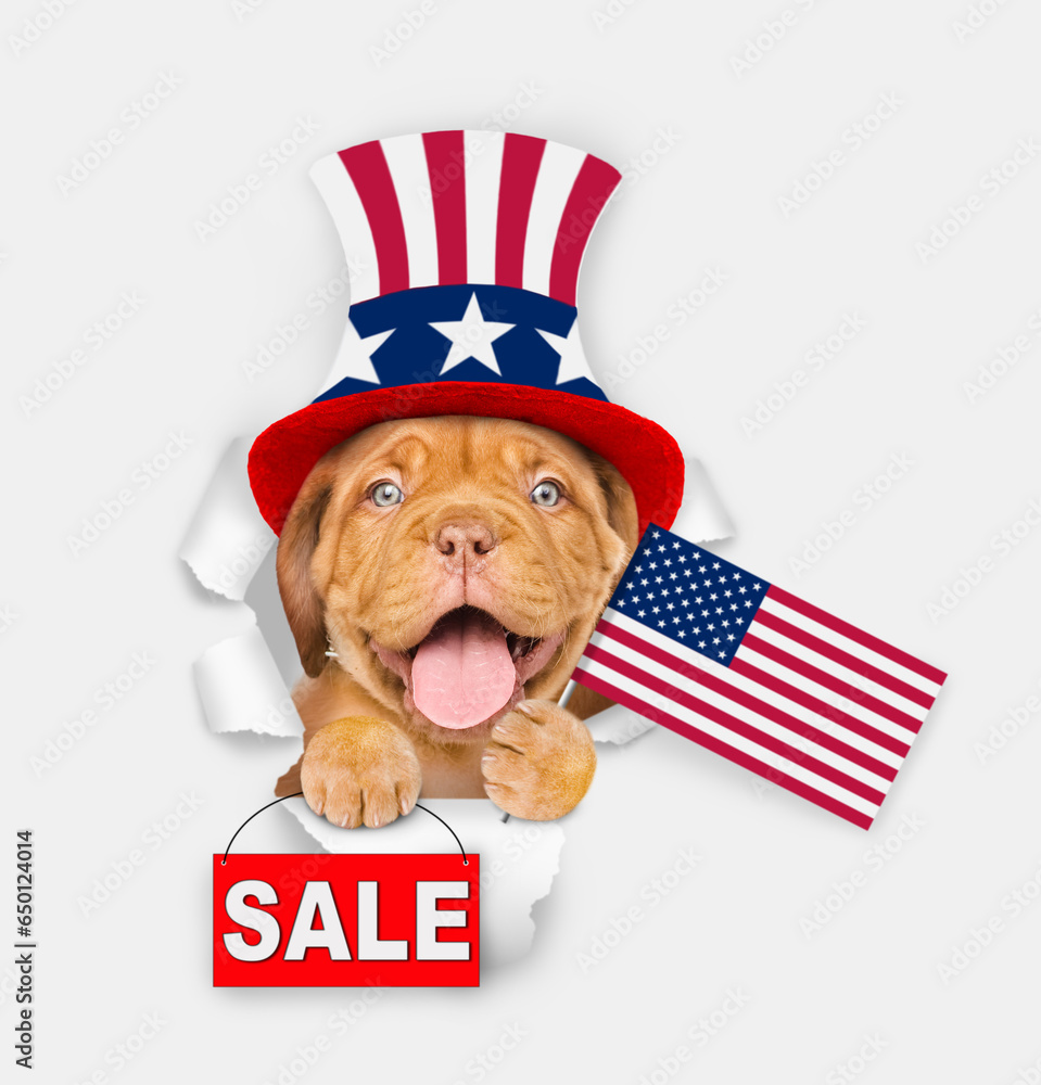 Poster happy mastiff puppy wearing like uncle sam looking through a hole in paper and shows usa flag and si
