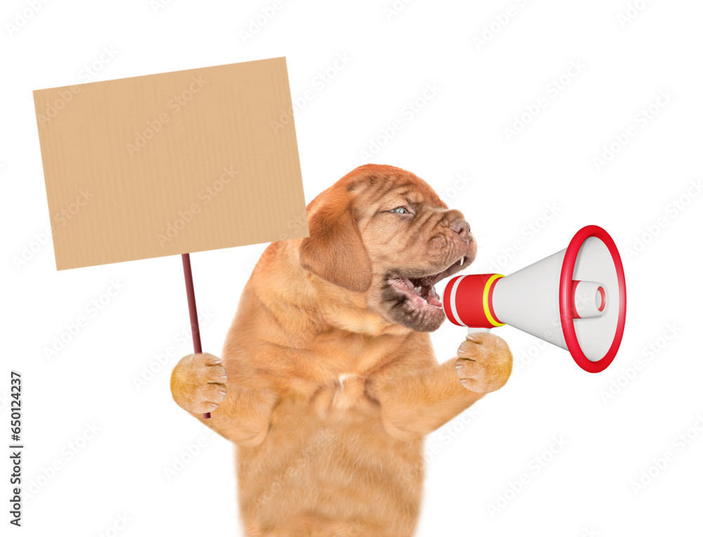 Poster Mastiff puppy screaming into a megaphone and showing empty placard. isolated on white background