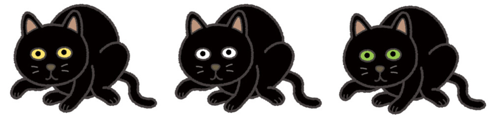 まるまる黒猫
