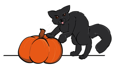 halloween cat with pumpkin