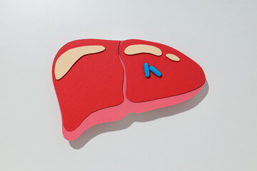 Paper mockup of liver on white background, top view