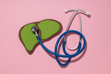 Paper mockup of liver and stethoscope on pink background, top view