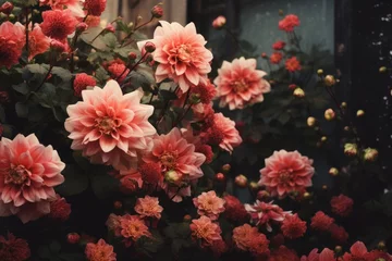 Fototapeten Colorful dahlia flowers, wallpaper backdrop © kardaska