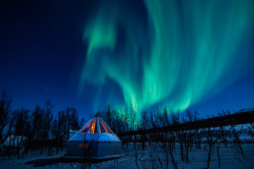 Aurora borealis under the lavvo
