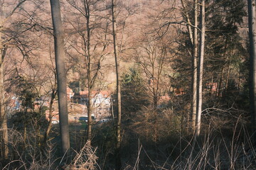 Obraz premium Wanderung Harzer Hexenstieg