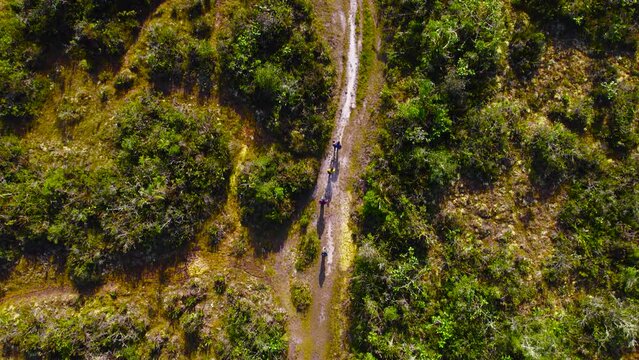 Daytime drone shot looking directly downward. In Oxapampa, Peru, natives walk forward along a dirt road surrounded by shrubs.