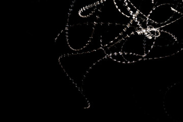 vol stroboscopique de moucherons de nuit en flash