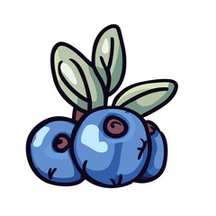 blueberry