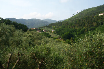 Pieve di Compito, rural village near Lucca, Tuscany